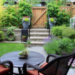 Plantes et énergies positives : lesquelles choisir pour harmoniser sa maison ?